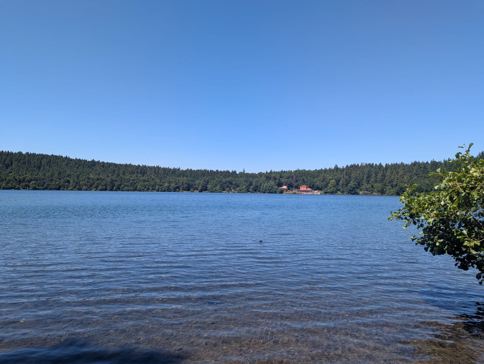 Lac du Bouchet en Haute Loire